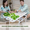 36 Sites Hydroponic Grow Tool Kits Vegetable Garden System Home 220V Water Pump