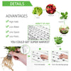 36 Sites Hydroponic Grow Tool Kits Vegetable Garden System Home 220V Water Pump