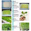 Hydroponic Grow Kit 108 Sites Water Pump Home Plant Vegetable Garden System PVC