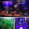 Small Fish Tank Aquarium Light LED Waterproof Full Spectrum Aqua Lamp RGB Bar